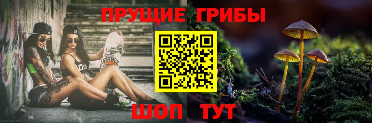Мелеуз  Псилоцибиновые грибы мицелий  Вход с VPN 